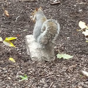 Meet your Posher, Mariam